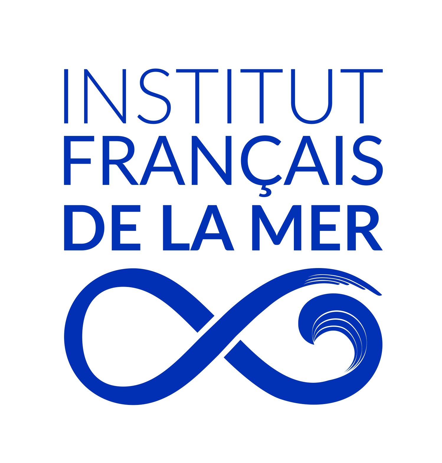Logo IFM