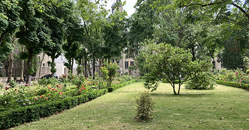 Jardin des Carmes - arbres