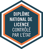 Macaron Diplôme national de Licence contrôlé par l'état