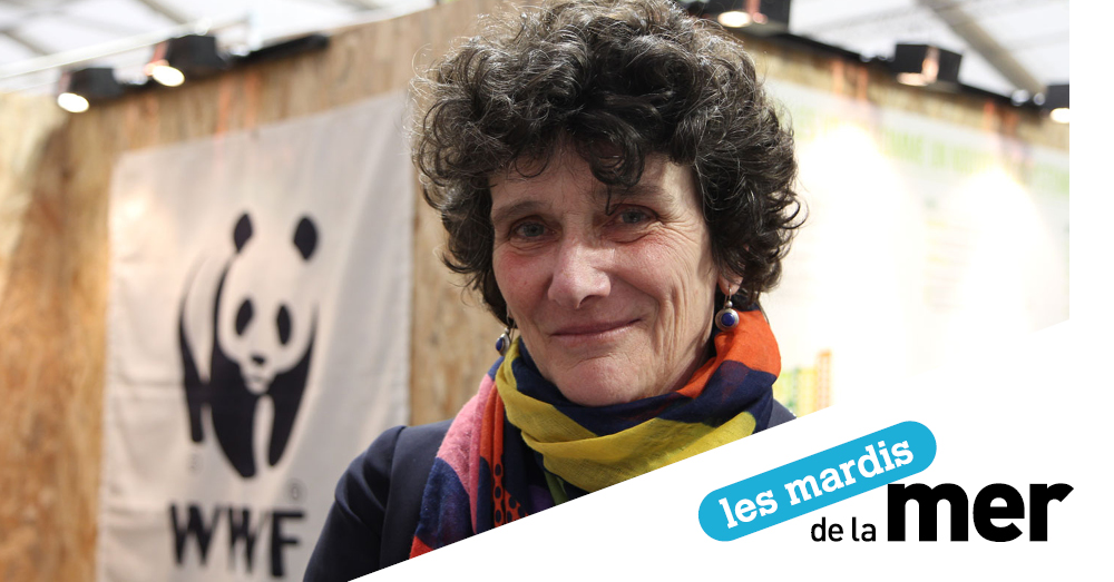Isabelle Autissier, présidente du WWF, à la COP21. Isabelle Autissier, présidente du WWF, à la COP21.