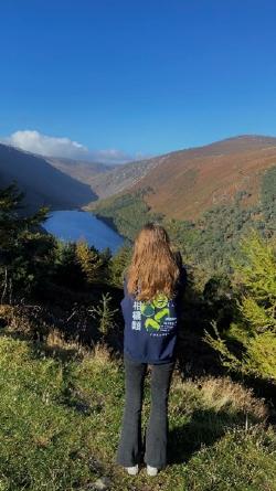 Rose en Irlande