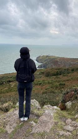 Rose en Irlande
