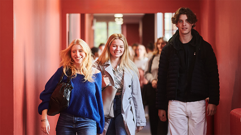 bachelor geopolitique science politique humanites