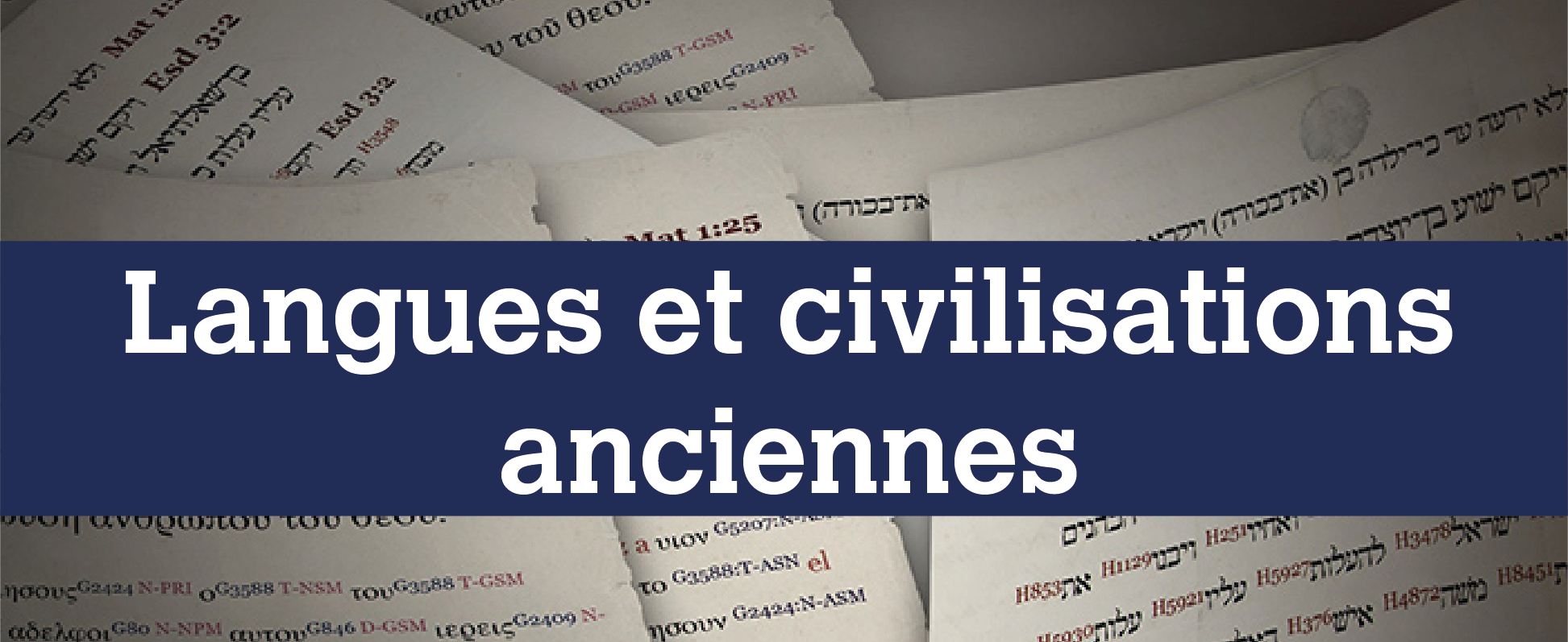 langues civilisation
