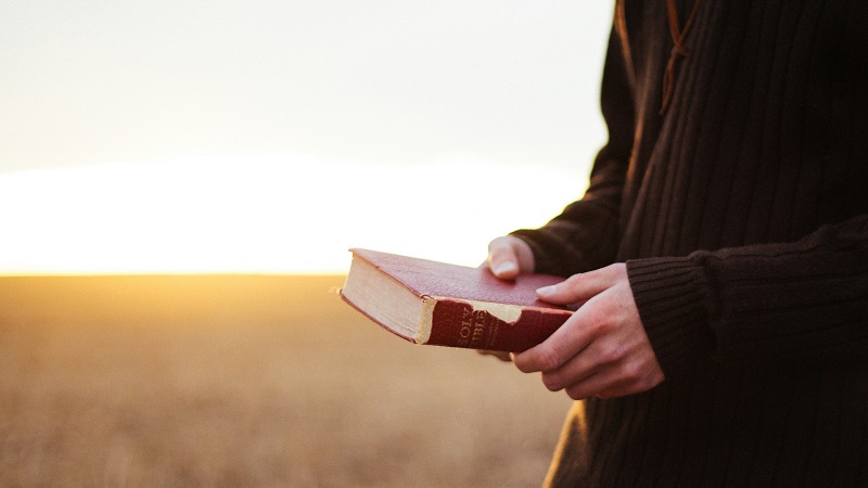 Une réévaluation de la place de la nature dans les textes bibliques