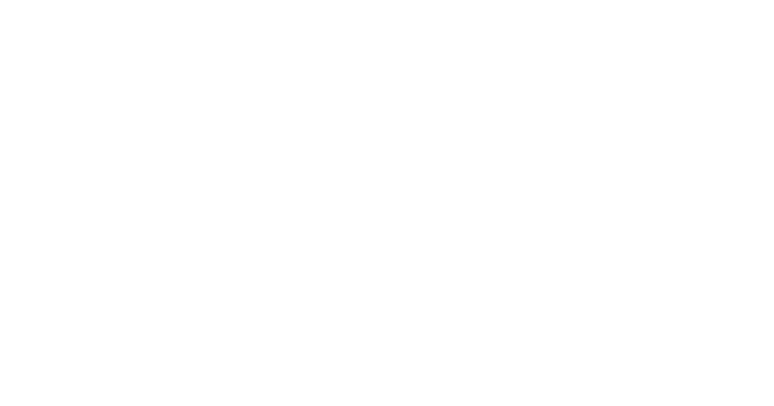 logo blanc icp
